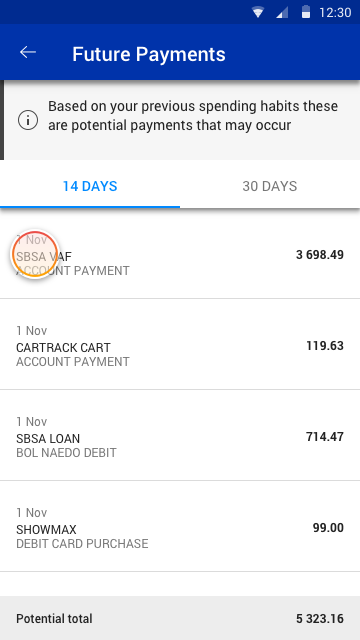 futurePayments_14days_payment.png