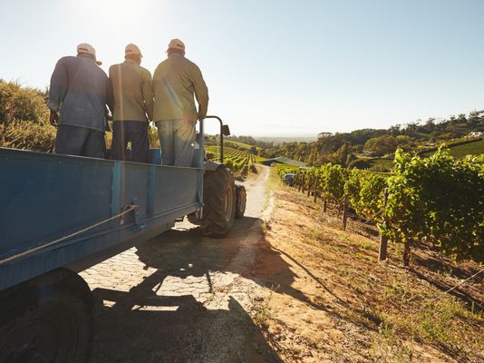 BB agriculture product detail banner