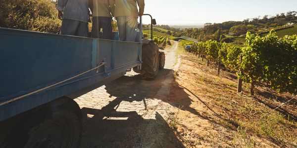 Bb Agriculture Product Detail