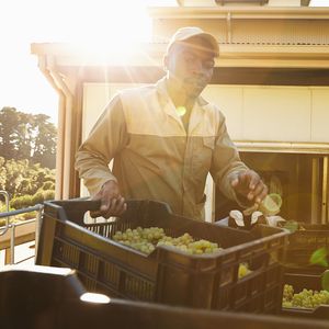 Family and farm assets