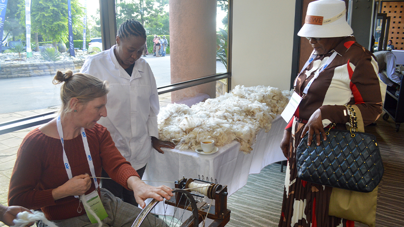 financing the future galley five image