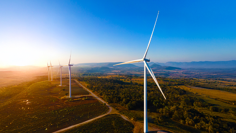 Maintaining sustainability BCB WEB