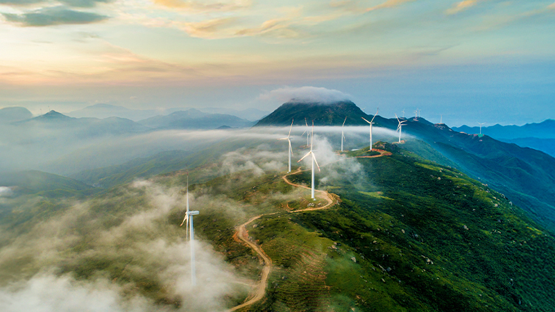 Business Sustainability banner image 