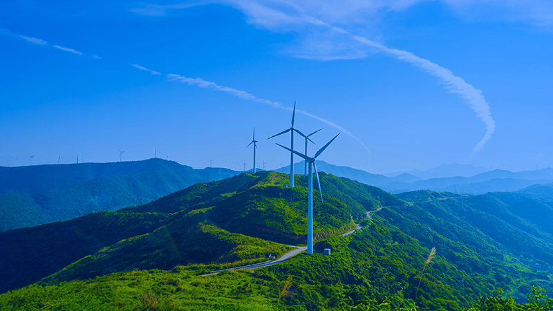 Sustainability banner image