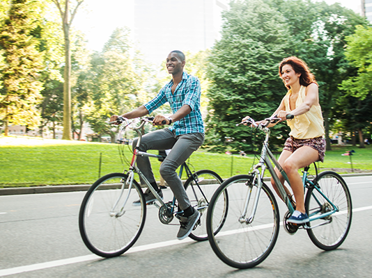 Local Multi-manager GoalStandard Funds product Card